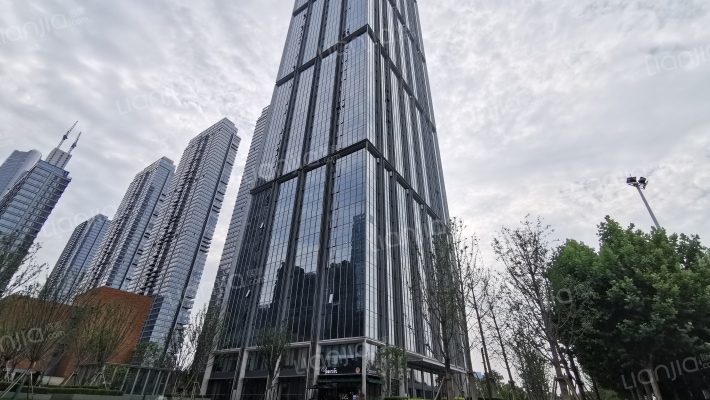 长江中心云玺外景图