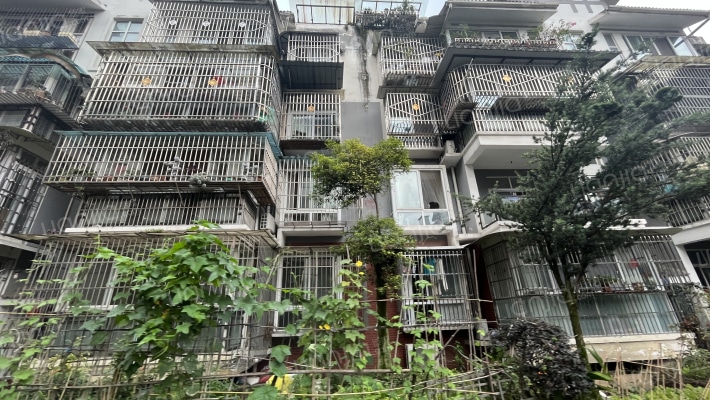 通锦路401号外景图