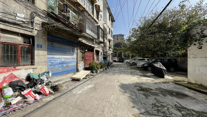 桃园路43号外景图