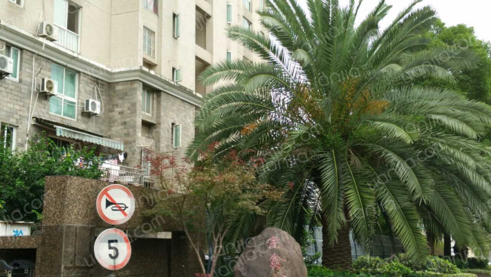 宗鑫公寓外景图