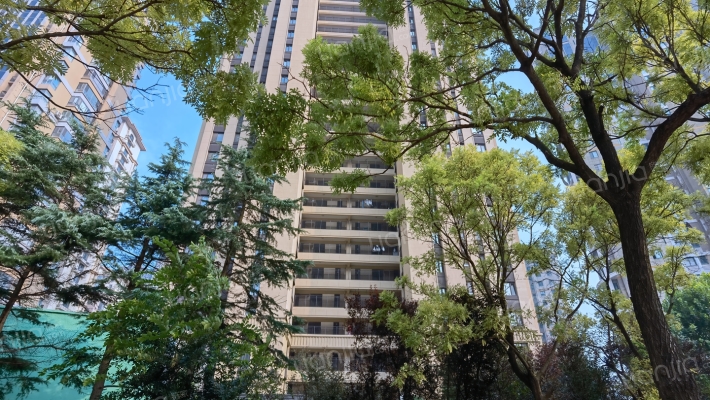 龙湖天璞二期外景图