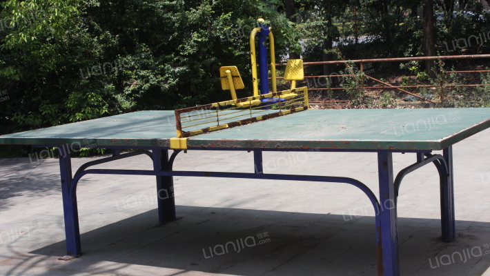 杨公十一组外景图