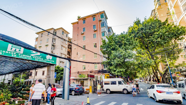 桂花路外景图