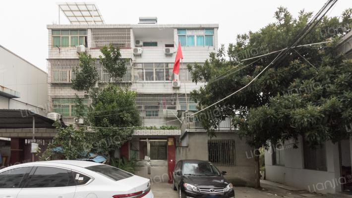 金雅利路外景图