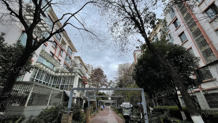 枫林盛景(东区)外景图