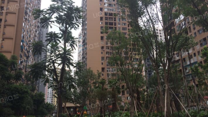 兰花丽景外景图