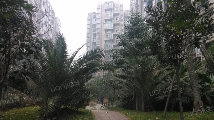 河滨森邻B区外景图