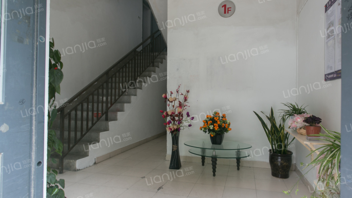 馨佳园(菊盛路851弄)外景图