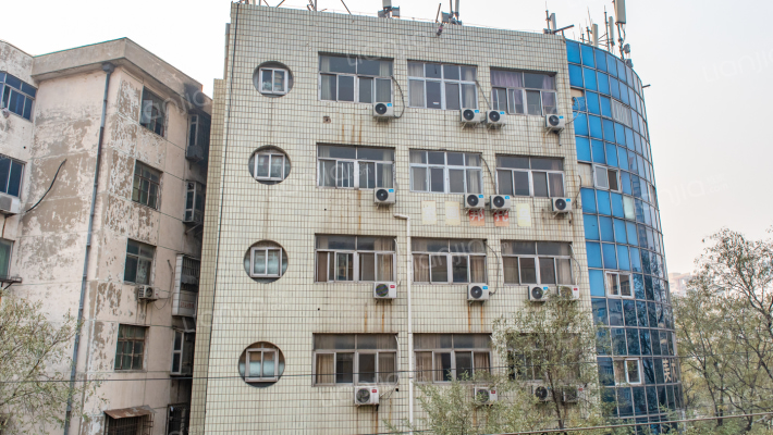 蜜蜂张40号院外景图