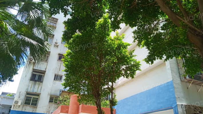 红叶大厦外景图