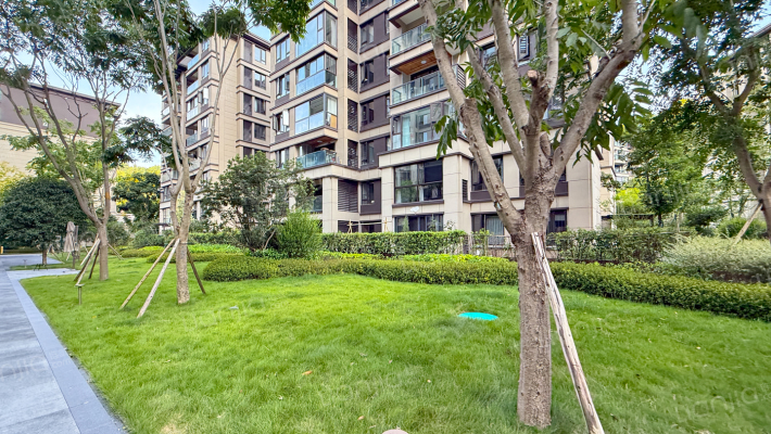 旭辉江山青林半外景图