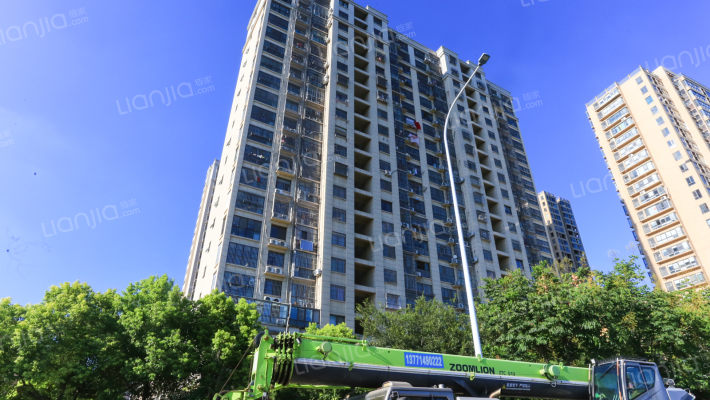 龙凤喜万家外景图