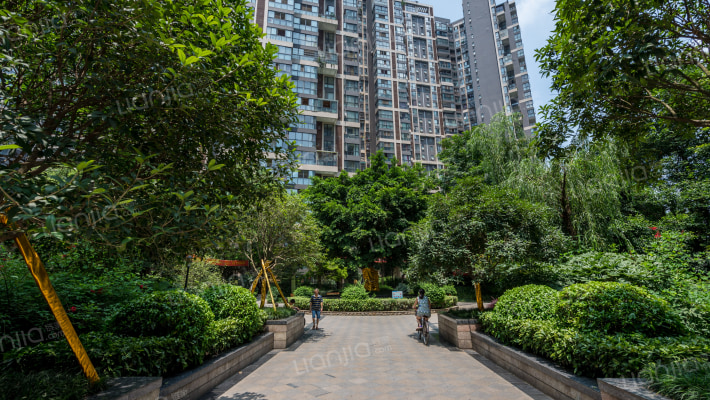 南阳盛世外景图