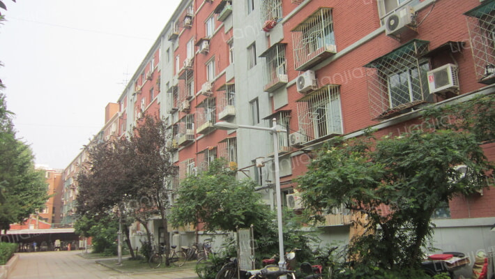 大慧寺20号院外景图