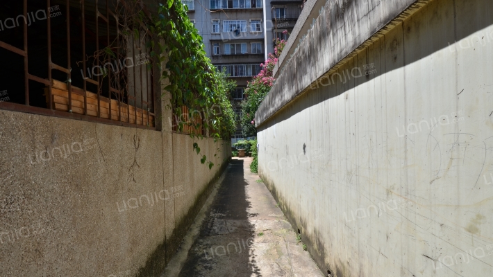 白马小区东碧组团外景图