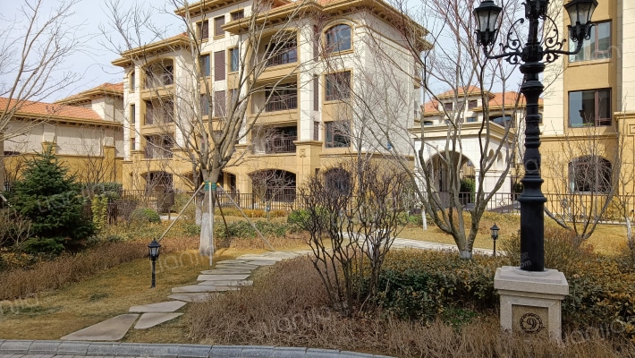 鲁能胜地泰山九号外景图