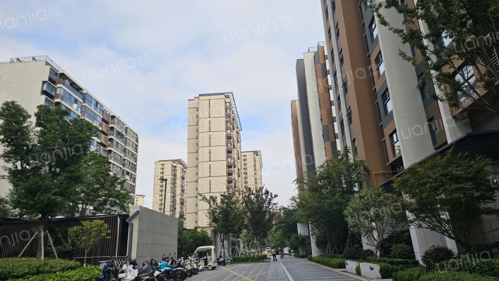 新澎湃国际社区外景图