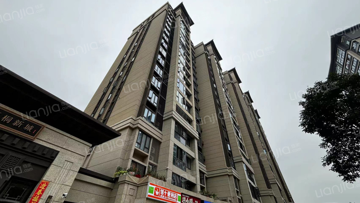 枋湖梧桐新城外景图