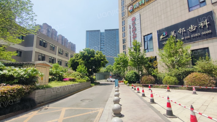 智地哥谭外景图