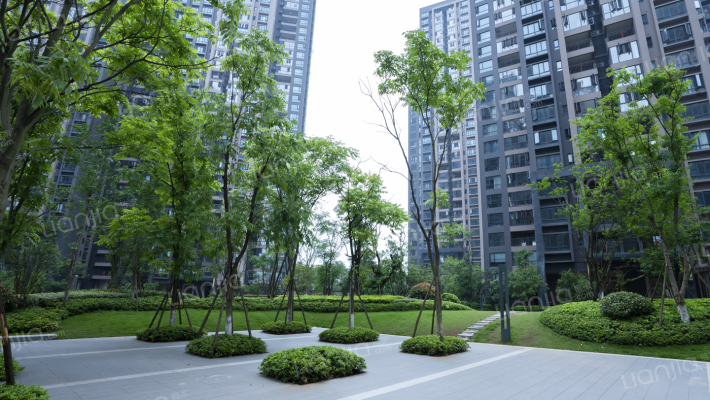 汇金城二期外景图