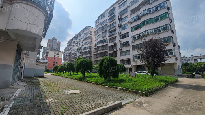 卫生局小区外景图