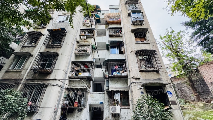 红育坡81号外景图