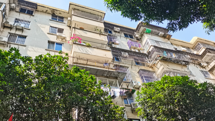 区供销社宿舍外景图