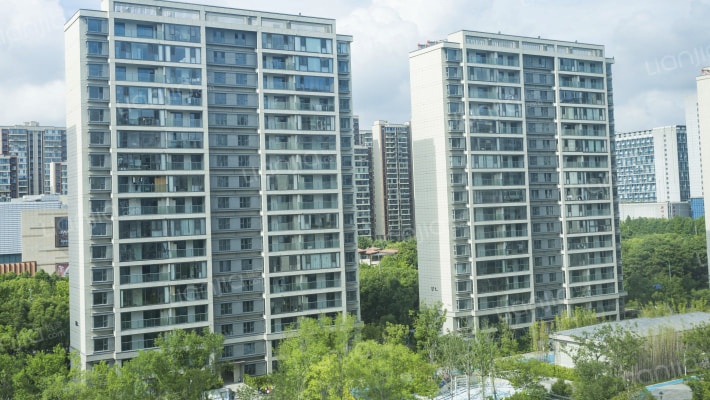 海纳春江外景图