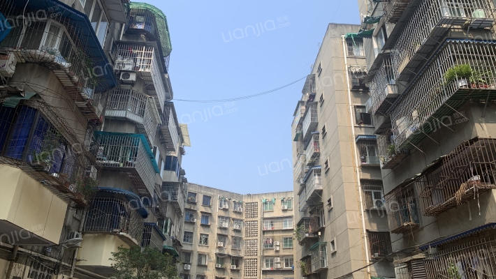 金彭中路8号外景图