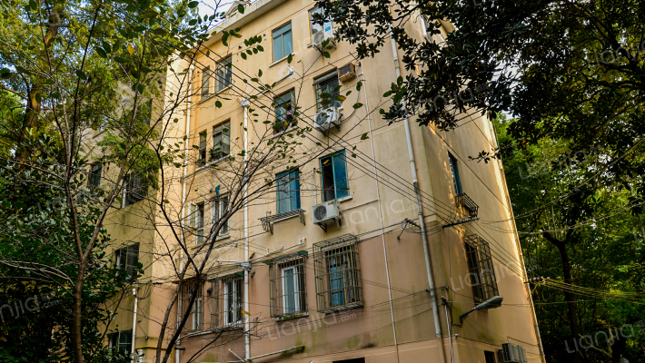 湖南路100弄外景图