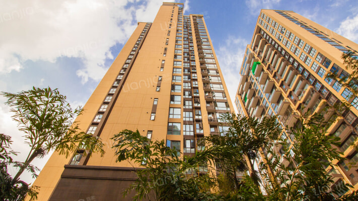 上善梧桐苑外景图