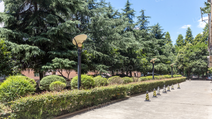 城南新村南区外景图