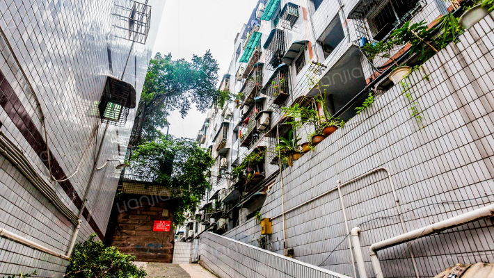 实验小学家属院外景图