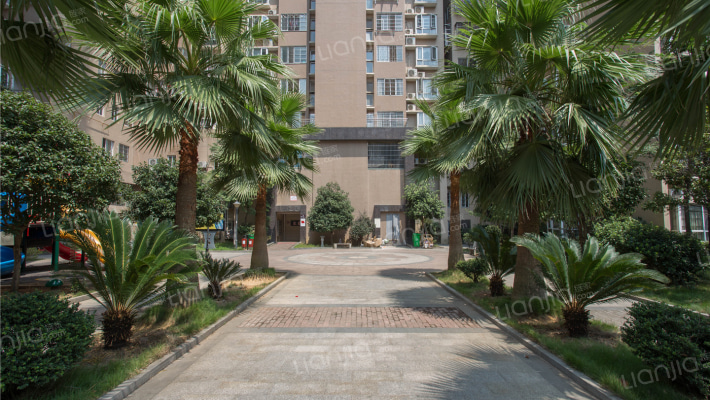 芙蓉上河图外景图