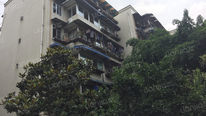 金鹏街175号院外景图