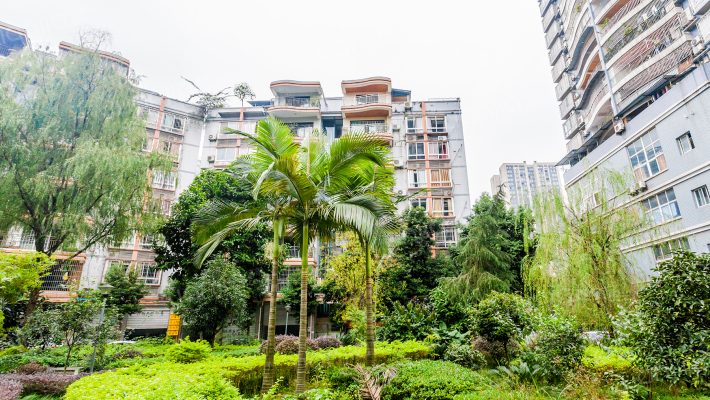 虹都景苑外景图