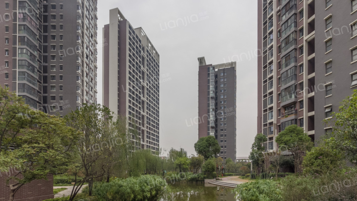 现代城三区外景图