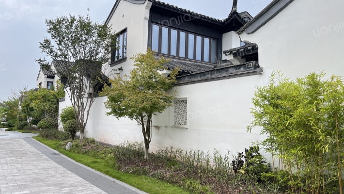 两江曲院风荷外景图