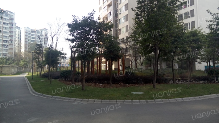 橄榄苑三期外景图