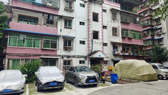 金星花园枫里组团外景图