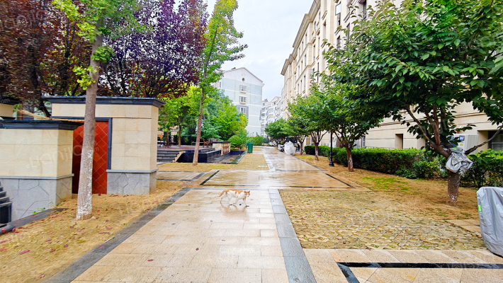 信德泰山御园外景图