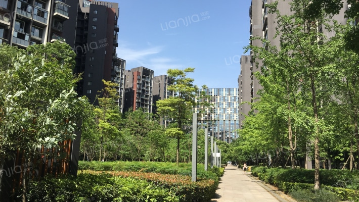 花样年美岸外景图