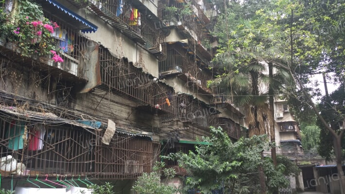 石人巷8号外景图