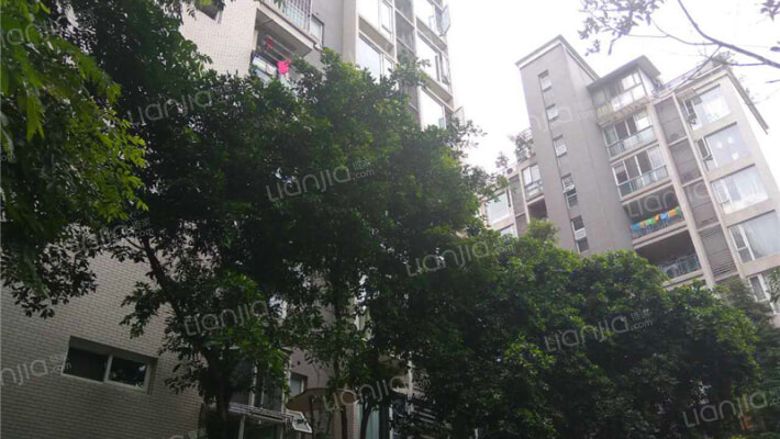 城楠映象外景图