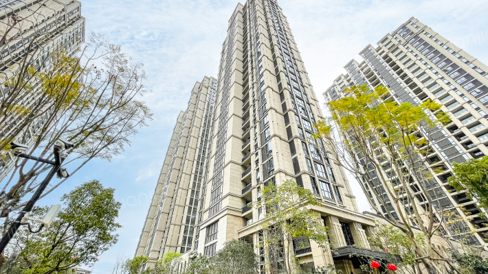 鲁能公馆一期外景图