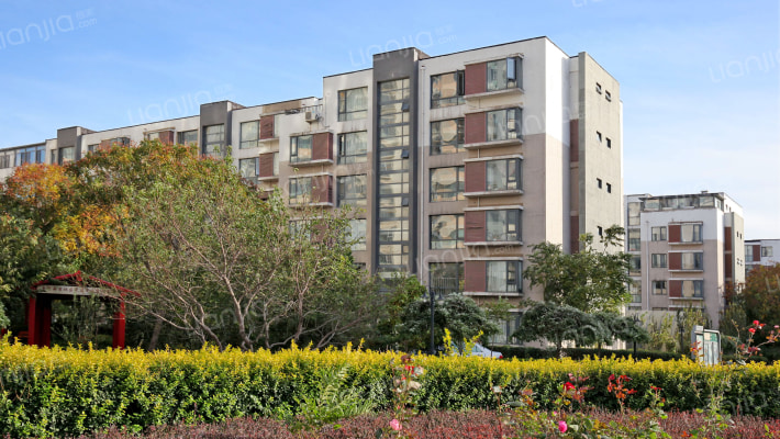 朝阳旺角外景图