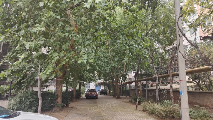 河北师范大学西院外景图