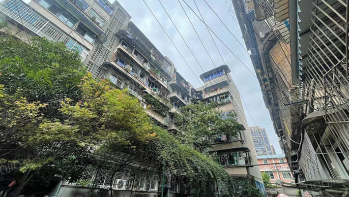 牛沙路17号外景图