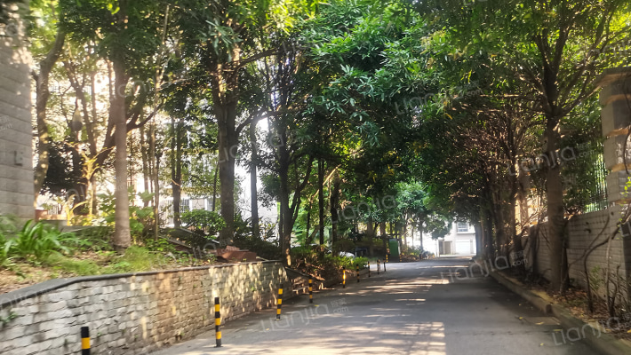 林业新村二区外景图