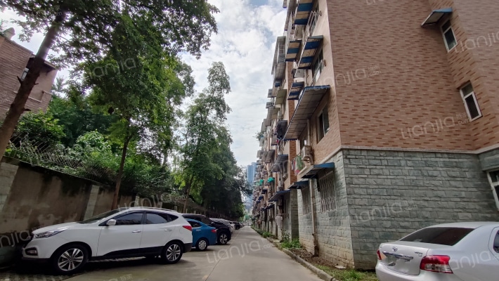 鑫阳花园外景图